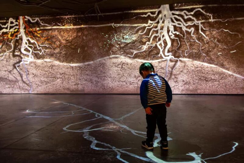 Aÿ-Champagne: Pressoria Champagne Museum with Tasting - Key Points