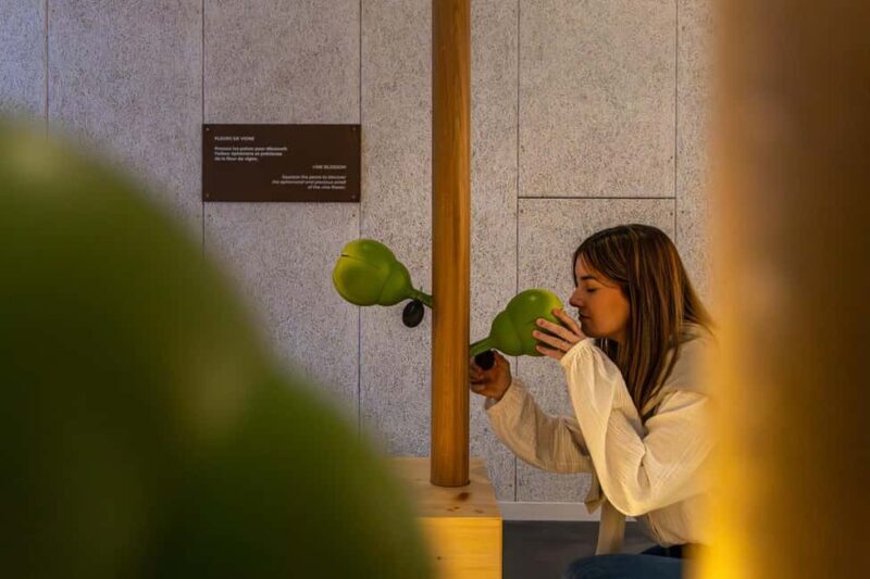 Aÿ-Champagne: Pressoria Champagne Museum with Tasting - The Sum Up