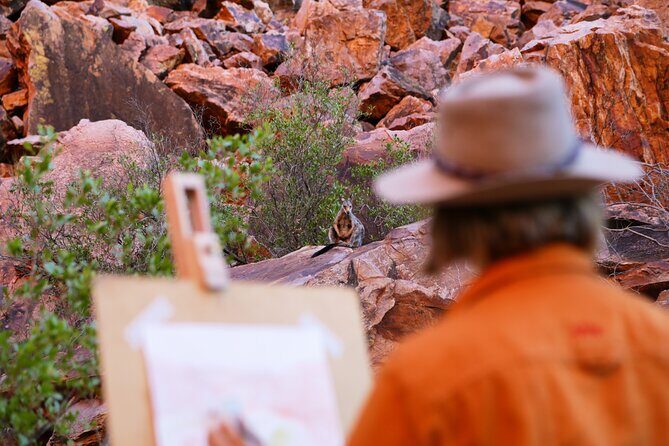 Ayers Rock Day Trip from Alice Springs Including BBQ Dinner - The Long Drive: A Consideration