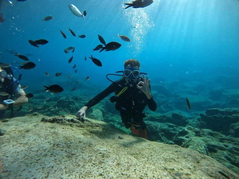 Ayia Napa: Beginners Discover Scuba Diving Experience - Ayia Napa: Beginners Discover Scuba Diving Experience