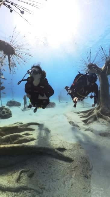 Ayia Napa: Musan Underwater Museum Scuba Dive with Transfer - The Journey Starts with Comfort and Convenience