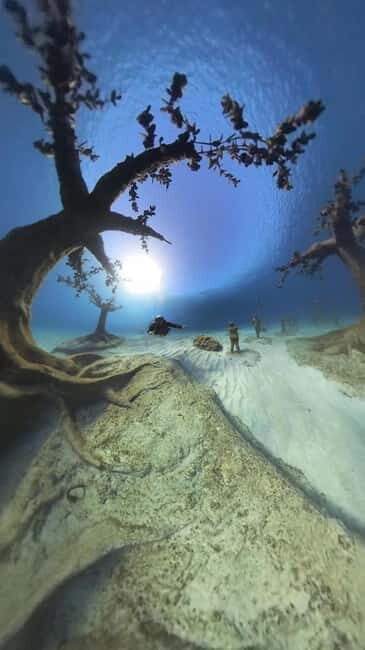 Ayia Napa: Musan Underwater Museum Scuba Dive with Transfer - The Underwater Experience: What to Expect