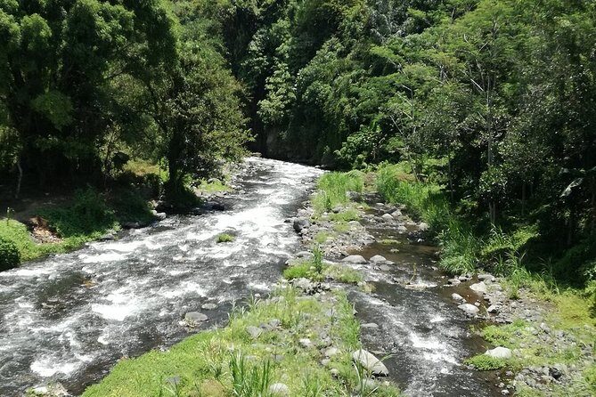 Ayung Rafting Ubud (Include Lunch & Return Transportation) - Frequently Asked Questions