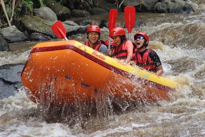 Ayung River Half-Day White Water Rafting Bali in Ubud - What Makes the Ayung River Rafting Experience Stand Out