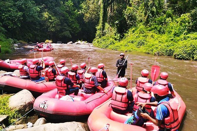 Ayung River Half-Day White Water Rafting Bali in Ubud - The Sum Up