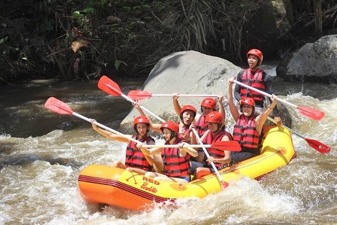 Ayung River Half-Day White Water Rafting Bali in Ubud - FAQs