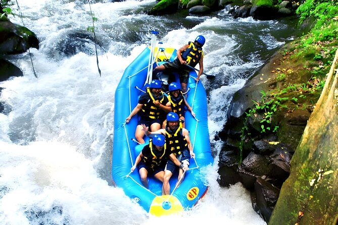 Ayung River Rafting and Ubud Waterfall Tour - Key Points