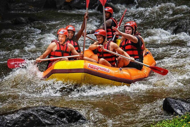 Ayung River Rafting in Ubud including Buffet Lunch - What to Expect from the Ayung River Rafting Tour