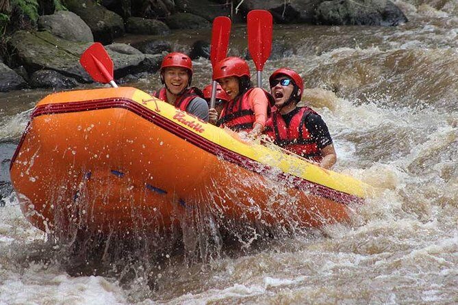 Ayung River - White Water Rafting Bali - An In-Depth Look at the Ayung River Rafting Experience