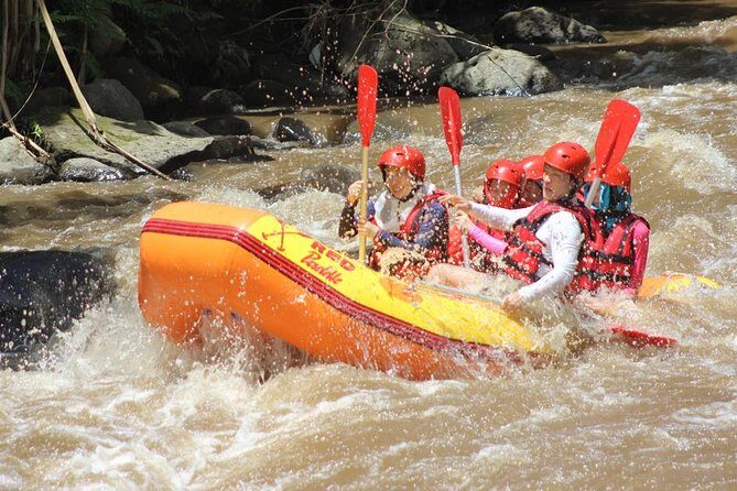 Ayung River - White Water Rafting Bali - Is This Tour Right for You?