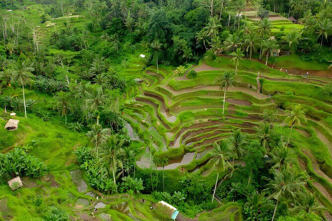 Ayung White Water Rafting and Ubud Art Village Tour - The Itinerary in Detail
