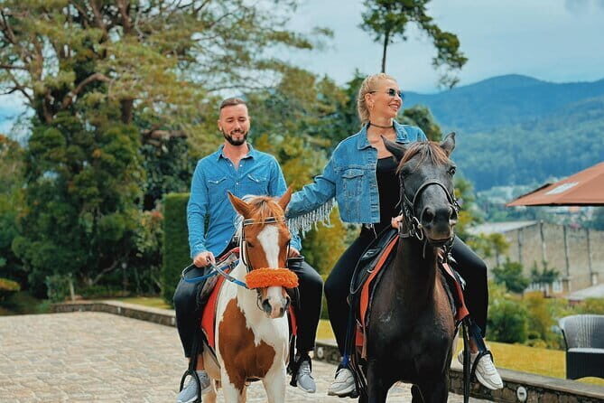 Ayurvedha Wellness and Anti-Stress Tour (14 Days) - Transportation & Logistics