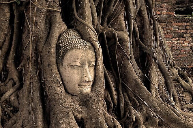 Ayutthaya Heritage Tour With Bicycle Experience - Authentic Feedback from Travelers