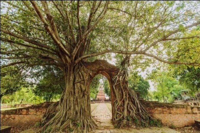 Ayutthaya Join in Day Tour - Exploring the Full Itinerary