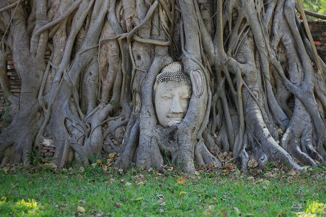 Ayutthaya Landmark Tour for Floating Market & Famous Temples - What Reviewers Say