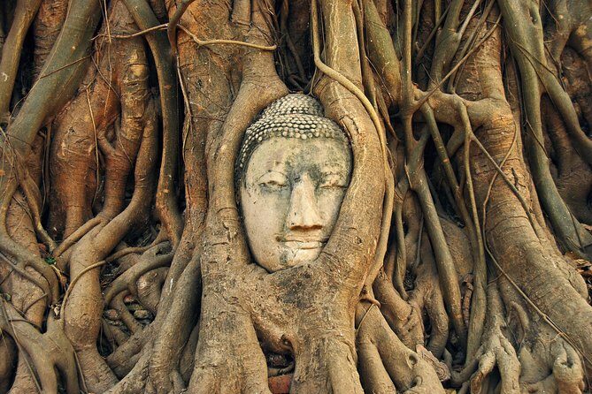 Ayutthaya Temples Tour from Bangkok with Grand Pearl River Cruise - The Experience From a Traveller’s Perspective