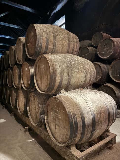 Azeitão: Great visit to wineries, farms, palace, and wine tasting. - Key Points