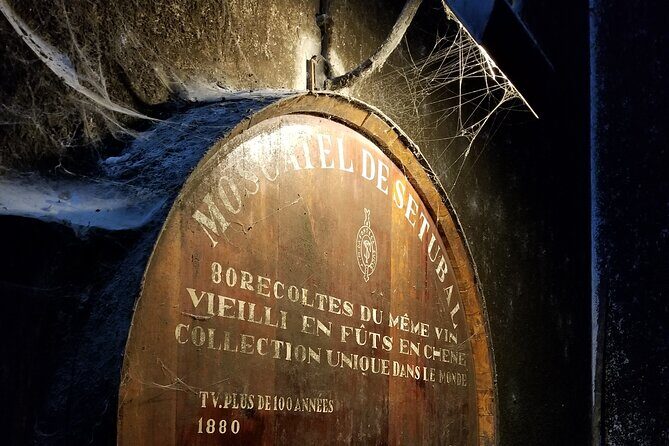 Azeitão Wines Tour and Stunning View Lisbon - Final Thoughts: Who Is This Tour Perfect For?