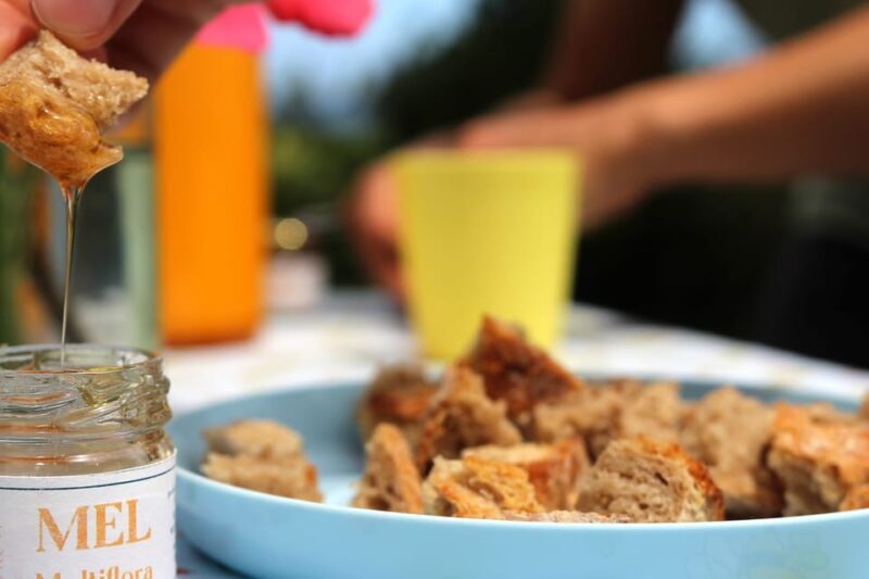 Azores Beekeeping Tour and Honey Taste - Azores Beekeeping Tour and Honey Taste Review