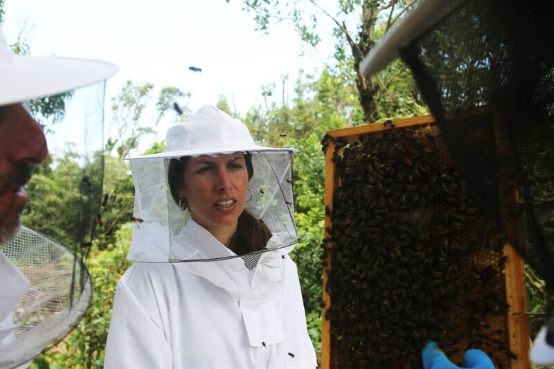 Azores Beekeeping Tour and Honey Taste - The Practicalities and Value