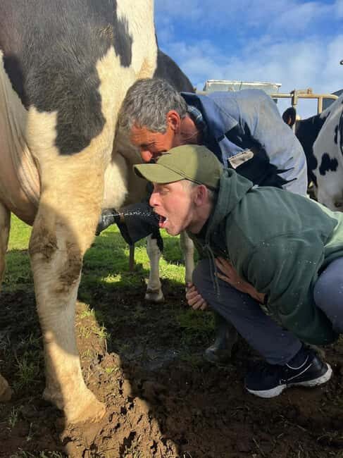 Azores: Day at the Farm with Traditional Lunch - Final Words