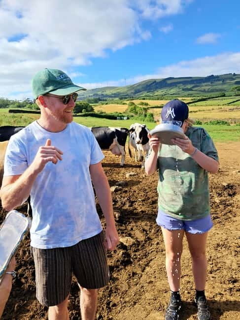 Azores: Half-Day Dairy Farm Tour - What to Expect from the Dairy Farm Tour