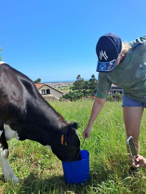 Azores: Half-Day Dairy Farm Tour - FAQ