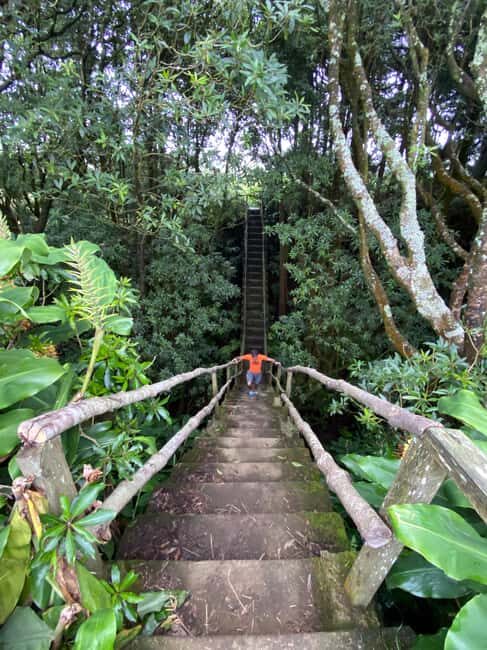 Azores: Janela do Inferno, Caldeira Velha Guided Hiking Tour - What’s Included and Practical Tips