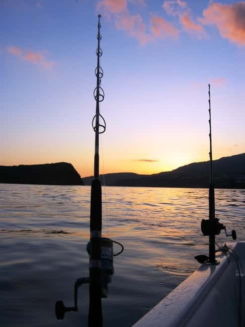 Azores: Ponta Delgada Big Game Fishing Private Tour - Introduction