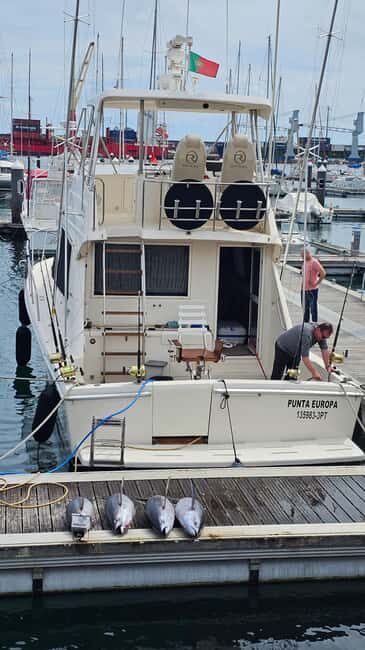 Azores: Ponta Delgada Big Game Fishing Private Tour - Value for Money and What’s Included