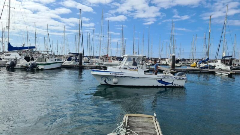 Azores: Ponta Delgada Big Game Fishing Private Tour - FAQ