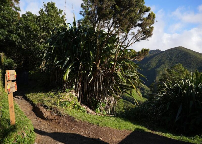 Azores: São Miguel and Lagoa do Fogo Hiking Trip - Who Is This Tour Best For?