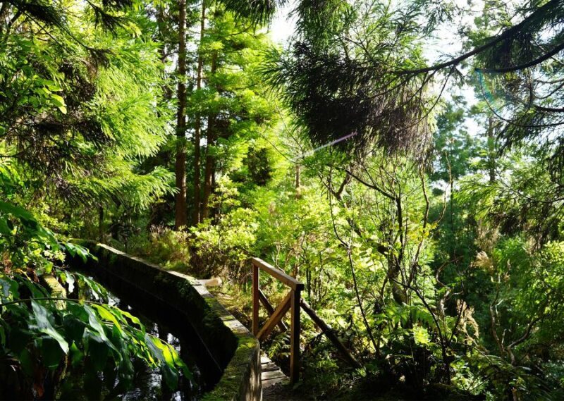 Azores: São Miguel and Lagoa do Fogo Hiking Trip - The Sum Up