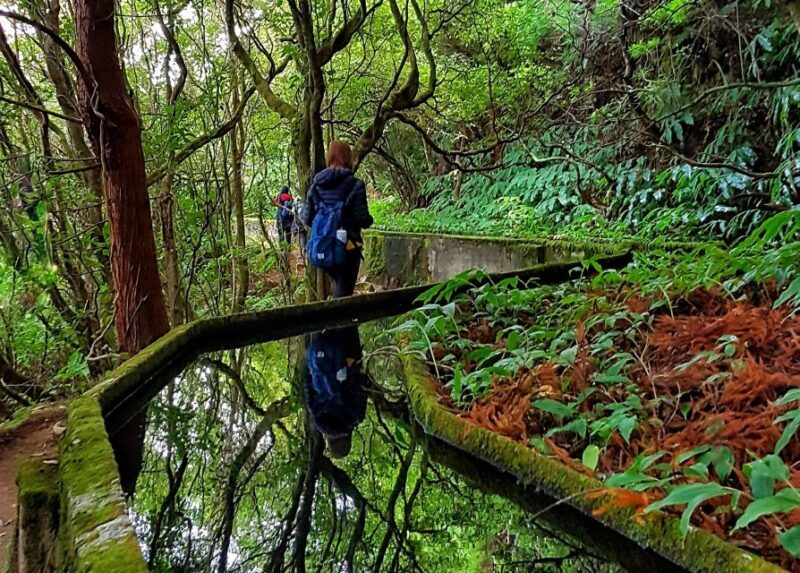 Azores: São Miguel and Lagoa do Fogo Hiking Trip - Frequently Asked Questions