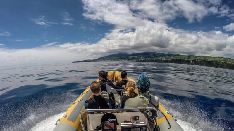Azores: Swim with Dolphins Atlantic Experience - FAQ
