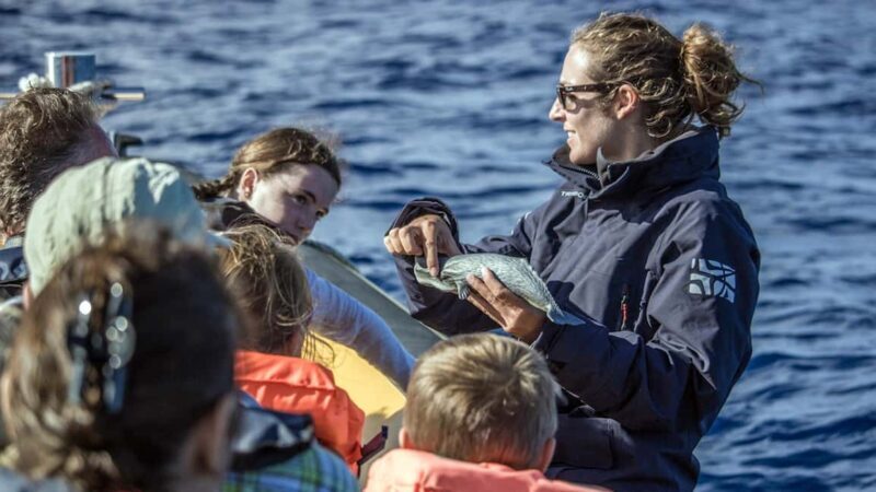 Azores: Whale Watching & Islet Boat Tour w/ Marine Biologist - Starting Point and Transportation