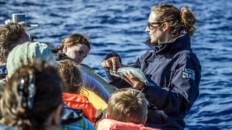 Azores: Whale Watching & Islet Boat Tour w/ Marine Biologist - The Marine Wildlife Encounters