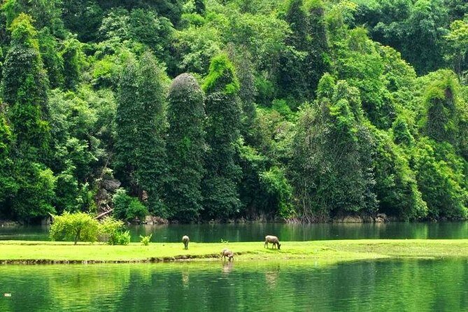 Ba Be Lake 2Day Tour from Hanoi. Trekking, Boat trip, Homestay - Final Thoughts