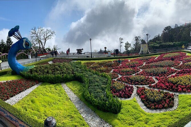 Ba Na Hills & Golden Bridge Tour from Da Nang - In-Depth Look at the Tour Experience