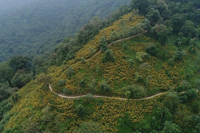 Ba Vi National Park Private Tour: Sightseeings & Jungle Hikking - Practical Aspects and Value