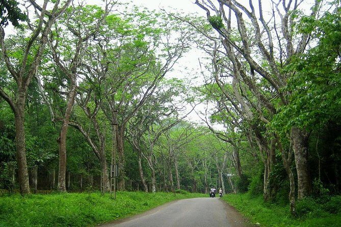 Ba Vi National Park Private Tour: Sightseeings & Jungle Hikking - The Sum Up