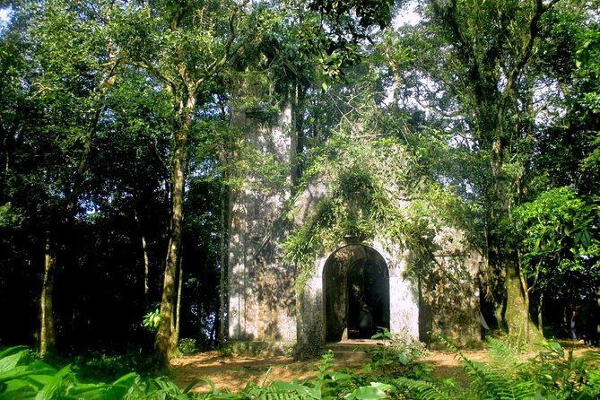 Ba Vi National Park Trekking Discovery day tour with stunning panoramic view - An In-Depth Look at the Ba Vi National Park Trekking Tour