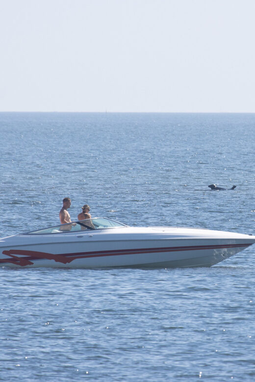 Baabe on Rügen: Seal-Spotting Cruise in the Baltic - Final Thoughts