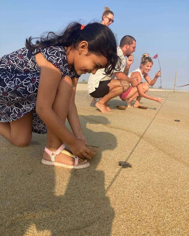 Baby Sea turtles release in Puerto Escondido - An In-Depth Look at the Experience
