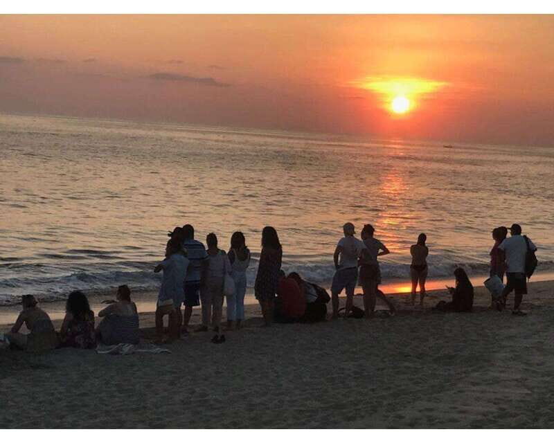 Baby Sea turtles release in Puerto Escondido - Who Will Love This Tour?