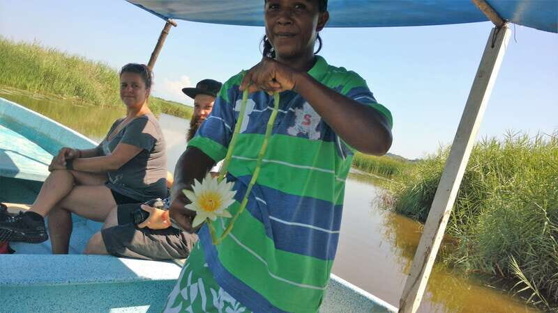 .Baby Turtle Release, Lagoon Boat Ride, and Crocodile Farm - An In-Depth Look at the Tour Experience