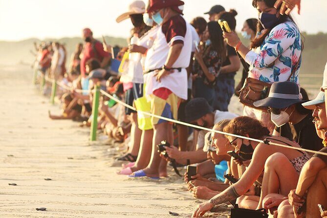 Baby Turtle Release Tour + Pick up + Courtesy in Puerto Escondido! - Key Points