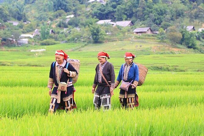 Bac Ha Market on wheels 2 days - FAQ