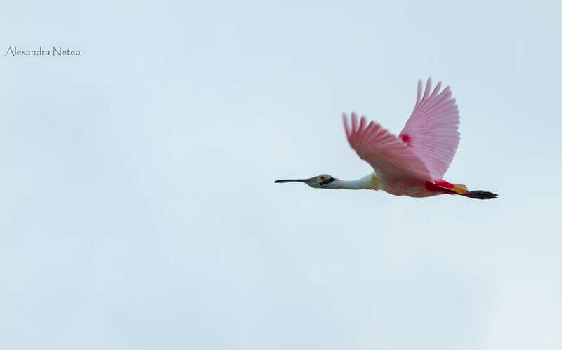 Bacalar: 4hr Private Sailing Tour with Guacamole & Drinks - Analyzing the Value