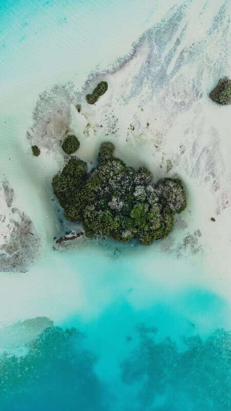 Bacalar & Cenotes: 3 hours kayak rental with snorkeling gear - Discovering Bacalar’s Lagoon by Kayak